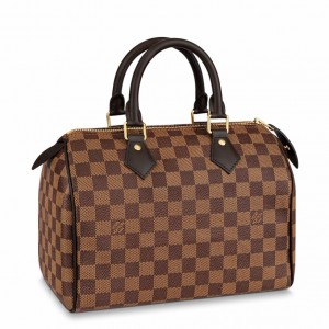Louis Vuitton Speedy 25 Bag in Damier Ebene Canvas N41365