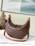Louis Vuitton Loop Hobo Bag in Monogram Canvas M46311