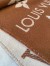 Louis Vuitton LV Essential Scarf In Brown Wool M78935