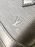 Louis Vuitton Alma Nano Bag In Silver Epi Leather M82682