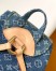 Louis Vuitton Venice Backpack in Monogram Denim M46836
